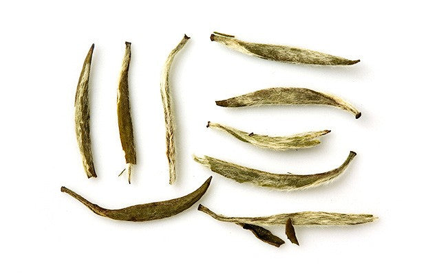 Yin Zhen. / 50 gr.