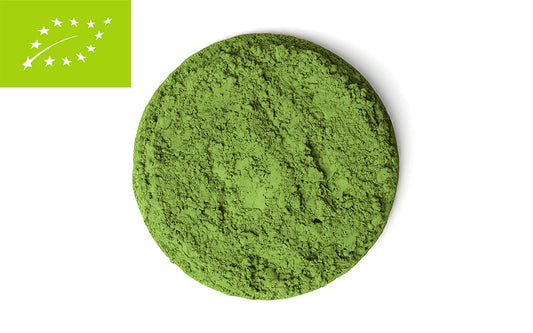 Matcha Kagoshima bio 100g - Prezentowy dozownik bambusowy. / 100 gr.
